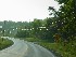 Peake Mountain Road